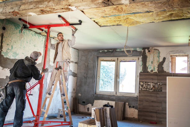 Best Specialized Insulation Services in Maumelle, AR