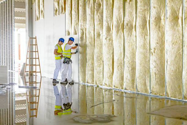 Best Geographic-Specific Insulation Services in Maumelle, AR